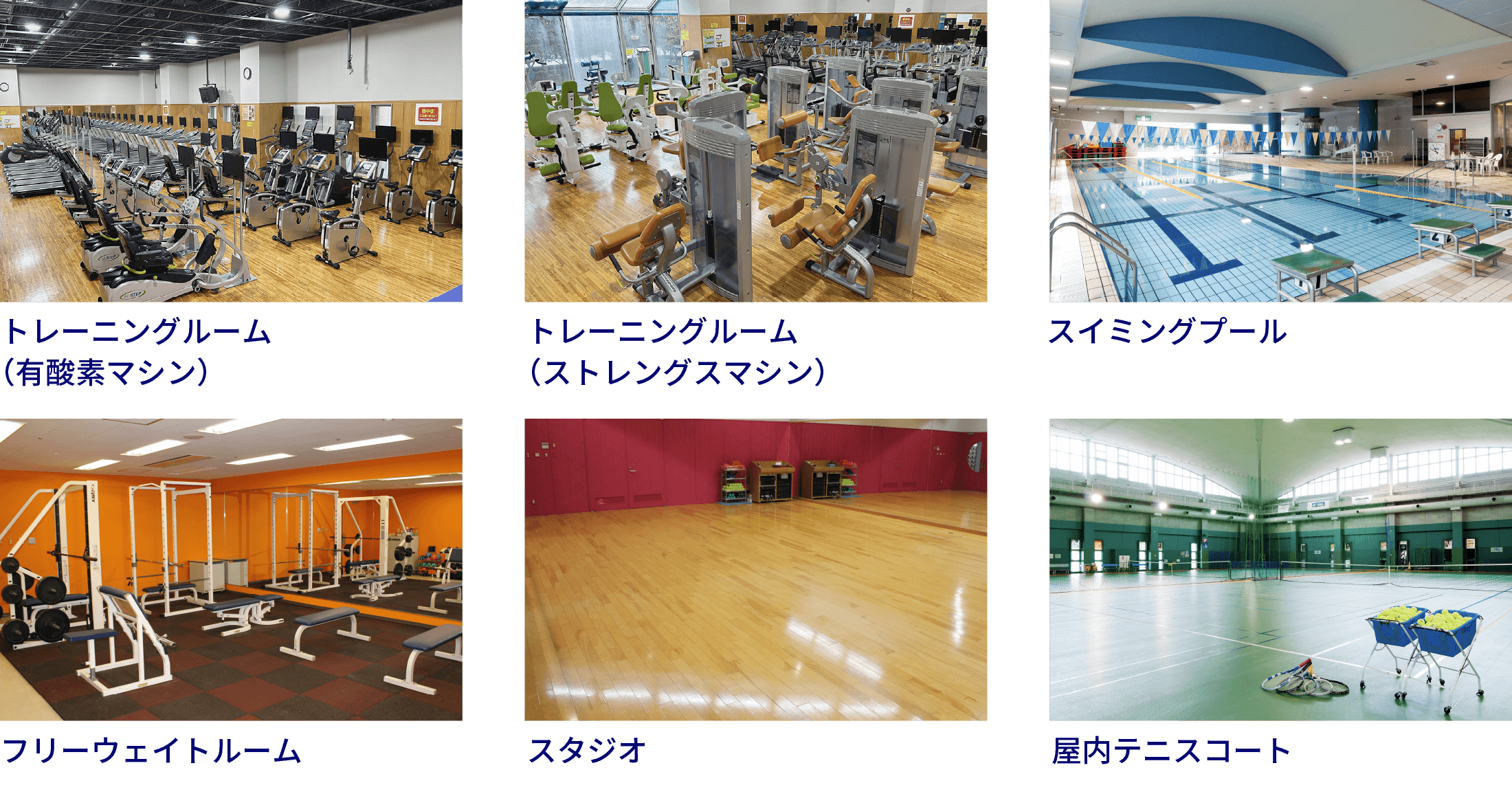 トレーニングルーム（有酸素マシン）、トレーニングルーム（ストレングスマシン）、スイミングプール、フリーウェイトルーム、スタジオ、屋内テニスコート
